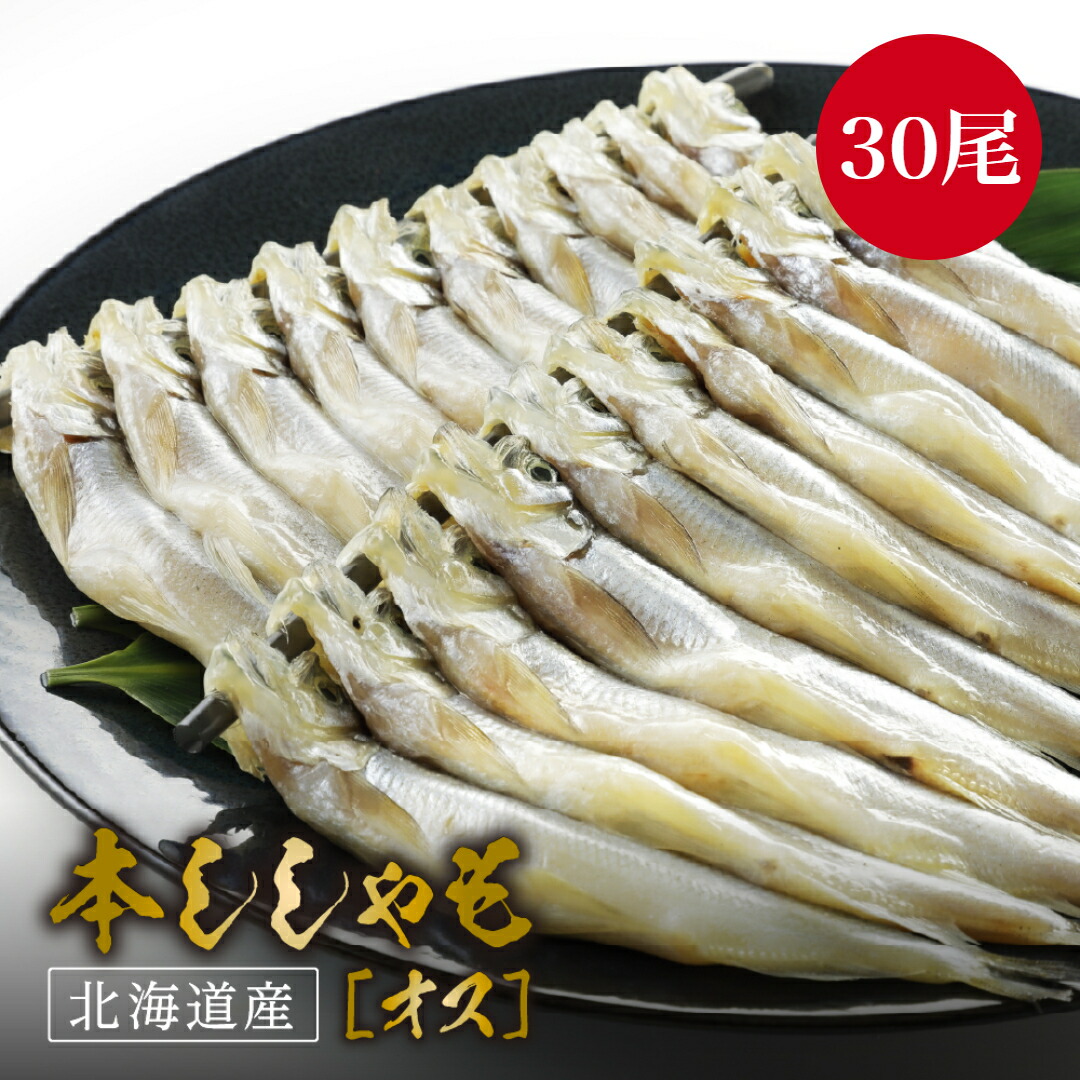 本ししゃも オス 30尾 北海道産 本シシャモ ししゃも シシャモ 珍味 おつまみ 酒の肴 酒のつまみ 海鮮 魚介 ご飯のお供 ごはんの友 ギフト お取り寄せグルメ 贈り物 贈答 食品 食べ物 お歳暮 お中元 高級