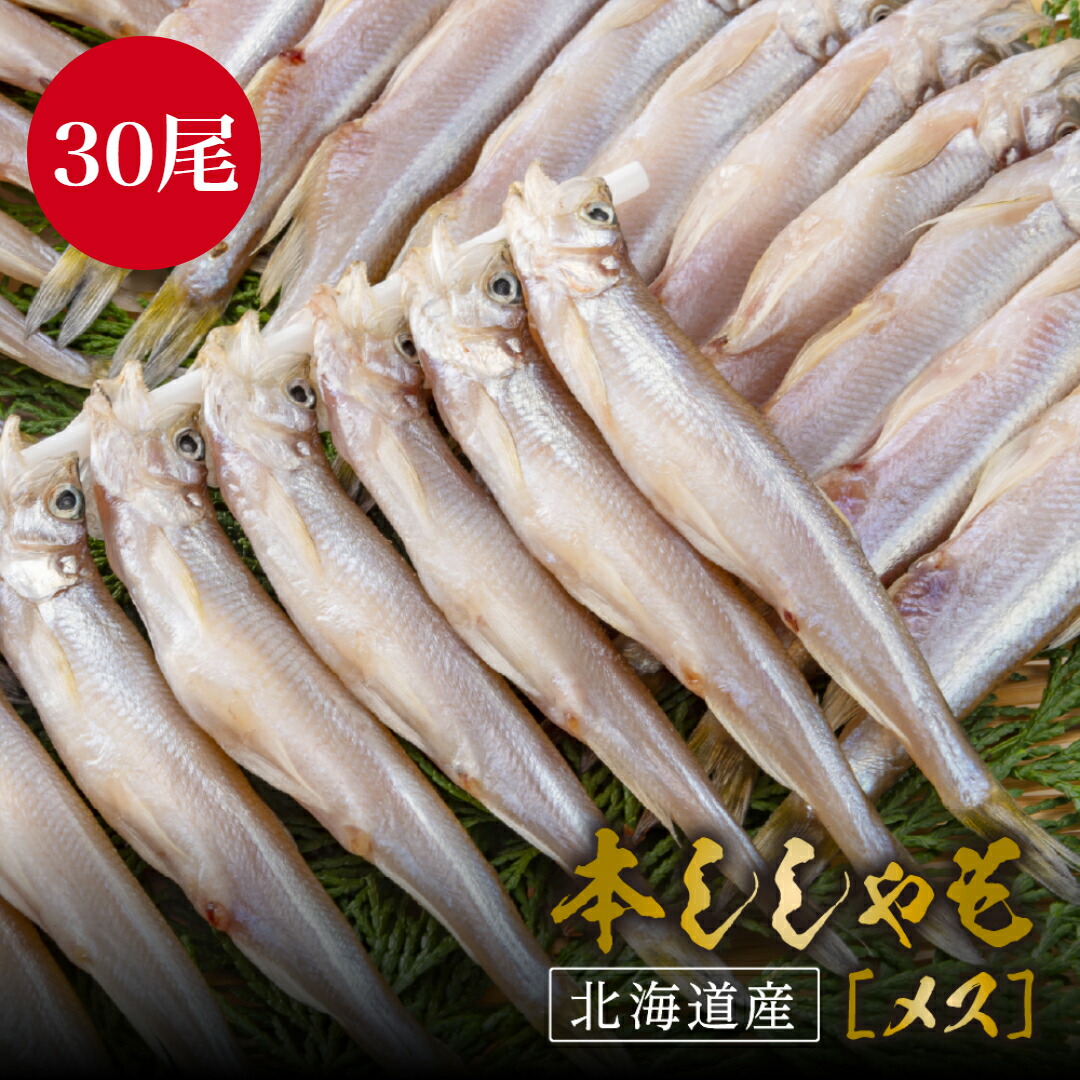 本ししゃもメス 30尾 北海道産 本シシャモ ししゃも シシャモ 子持ちししゃも 子持ちシシャモ 子持ち 魚卵 珍味 おつまみ 酒の肴 酒のつまみ 海鮮 魚介 ご飯のお供 ごはんの友 ギフト お取り寄せグルメ 贈り物 贈答 食品 食べ物 お歳暮 お中元 高級