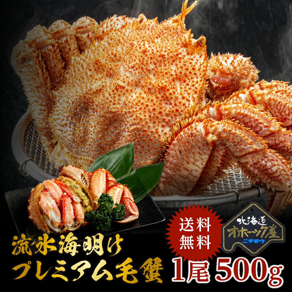 北海道産 流氷海明けプレミアム毛蟹 500g の一級品 ケガニ けがに かに カニ 蟹 毛蟹 け蟹 ケ蟹 お刺身 甲羅焼き カニ飯 甲羅酒 カニ鍋 焼きガニ ギフト お取り寄せグルメ お取り寄せ 贈り物 贈答 お歳暮 お中元 敬老の日 食品 食べ物