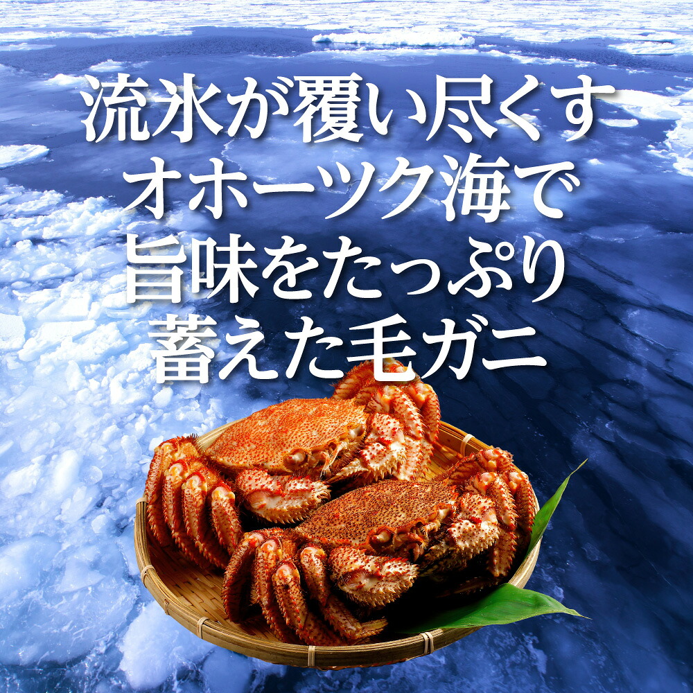 毛蟹甲羅盛り 800g 毛ガニ 毛蟹 北海道産 ケガニ けがに かに カニ 蟹 毛蟹 け蟹 ケ蟹 お刺身 甲羅焼き カニ飯 甲羅酒 カニ鍋 焼きガニ ギフト お取り寄せグルメ お取り寄せ 贈り物 贈答 Ceconsolidada Cl
