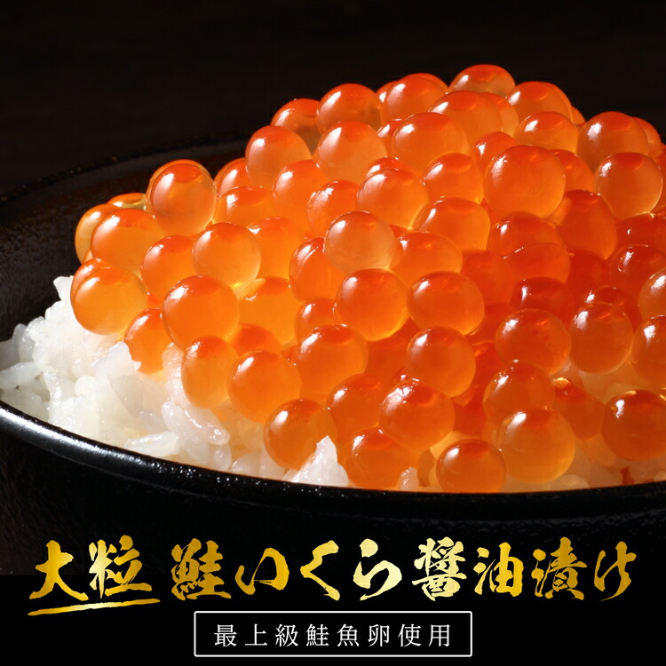 大粒 鮭いくら しょうゆ漬け 500g 北海道 いくら イクラ 醤油いくら 醤油イクラ グルメ いくら醤油漬け シャケイクラ 最高級 高級 海鮮 ご飯のお供 ごはんの友 ギフト お取り寄せグルメ 贈り物 贈答