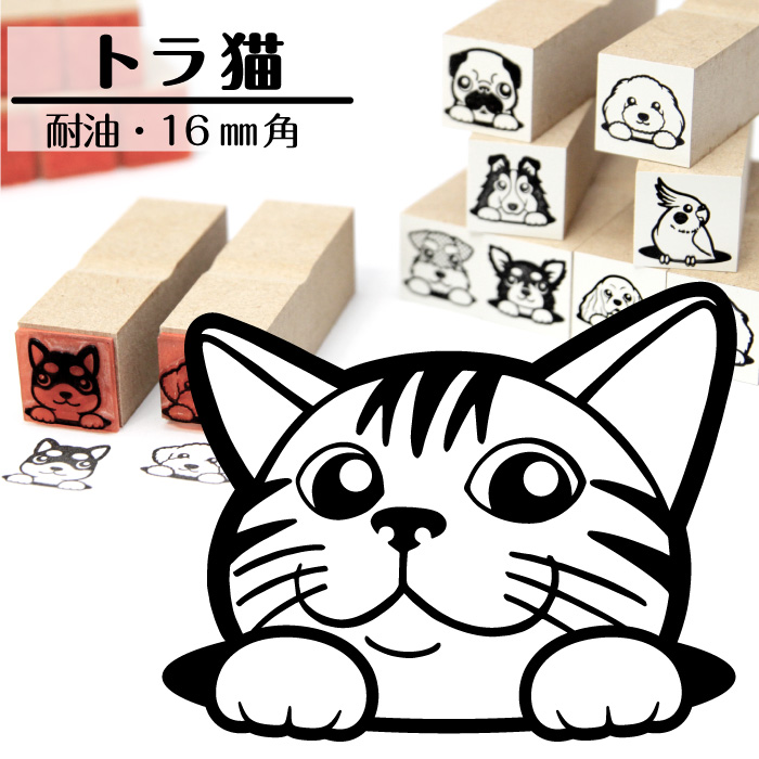 楽天市場 トラ猫 アメリカンショートヘア イラスト ゴム印 角印