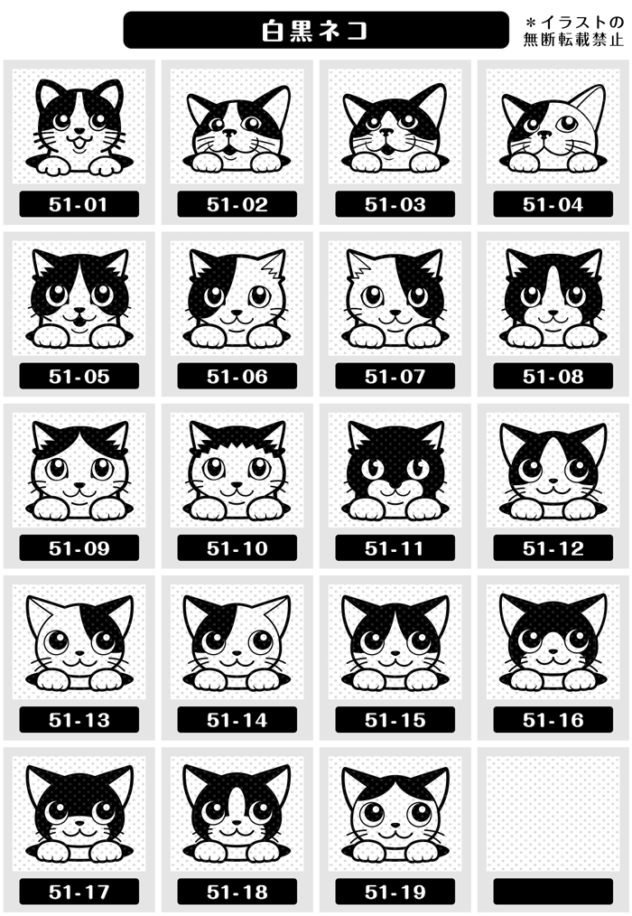 無料ダウンロードかわいい 猫 白黒 イラスト 美しい花の画像