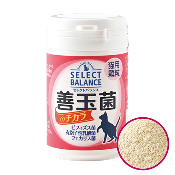 サプリ 免疫力 45g 1個 24個 セレクトバランス 善玉菌 のチカラ 猫 用(顆粒)乳酸菌 ビタミン 子猫 成猫 老猫 ササミ ビタミン【同梱A】shippotv