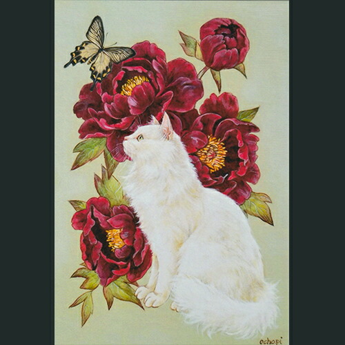 楽天市場】ochopi ポストカード 「白木蓮と黒猫」 【同梱A