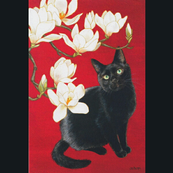 楽天市場】ochopi ポストカード 「白木蓮と黒猫」 【同梱A