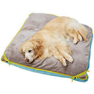 ペティオ zuttone リラックスビーズ　ベッド 犬用 大Petio zuttone ずっとね 寝心地がやさしいリラックスビーズベッド