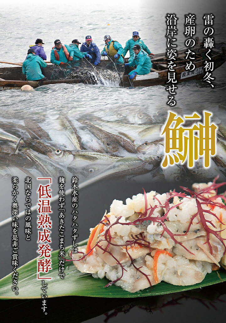 楽天市場 送料無料 鈴木水産 はたはた一匹ずし 500g 樽詰 冷凍 秋田名物 ハタハタ 寿司 いずし 鰰 飯寿司 あきた白神ツーリズム Akita Shirakami Tourism