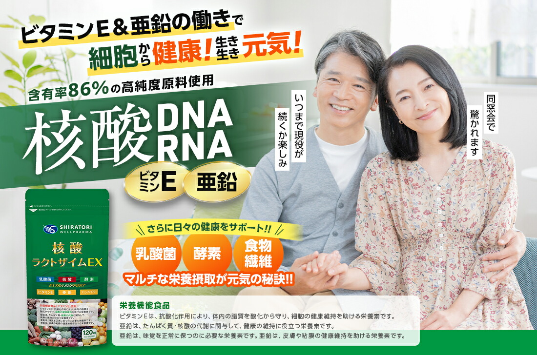 核酸ラクトザイムＥＸ 【定期購入】 栄養機能食品 ビタミンE 亜鉛 核酸 DNA RNA 乳酸菌 酵素(64種野草発酵エキス) フェンファイバー(食物繊維) 日本国内GMP認定工場製造 120粒(30日分) ×１袋 当店は最高な