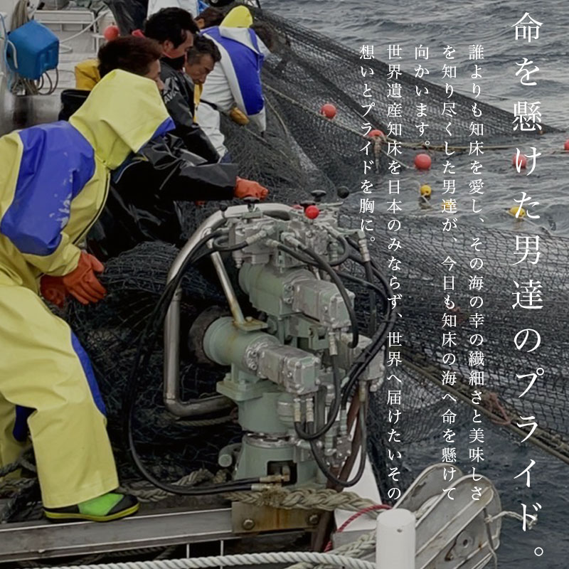 市場 北海道 真ほっけ一夜干し 直送 ホッケ 丸干し 冷凍 おつまみ 旬干し 500g前後 1枚 特大 知床産 一夜干し