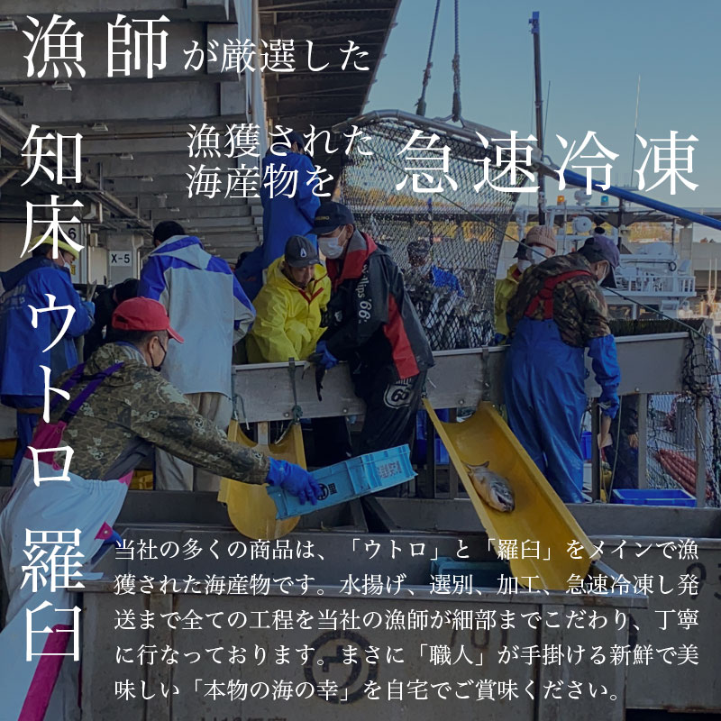 市場 北海道 真ほっけ一夜干し 直送 ホッケ 丸干し 冷凍 おつまみ 旬干し 500g前後 1枚 特大 知床産 一夜干し