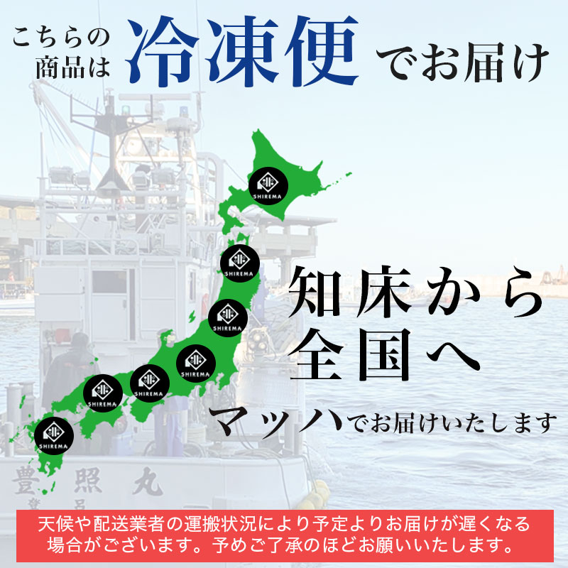 市場 北海道 真ほっけ一夜干し 直送 ホッケ 丸干し 冷凍 おつまみ 旬干し 500g前後 1枚 特大 知床産 一夜干し