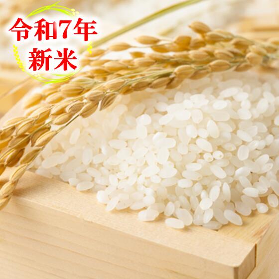 楽天市場】長野県 佐久産 コシヒカリ【令和7年産 新米 ☆】米 5