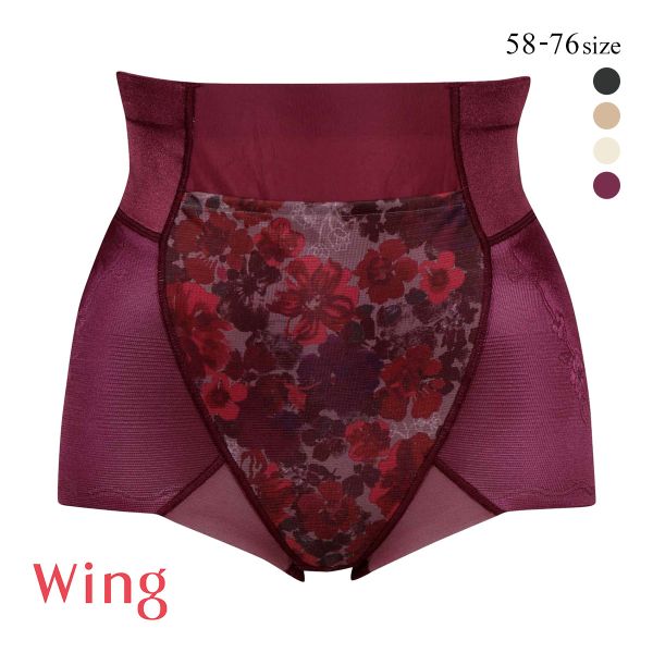 【限定セール】 Wing ワコール　ハミデンヌ　ロングガードル　64M 40kq2585.jpg
