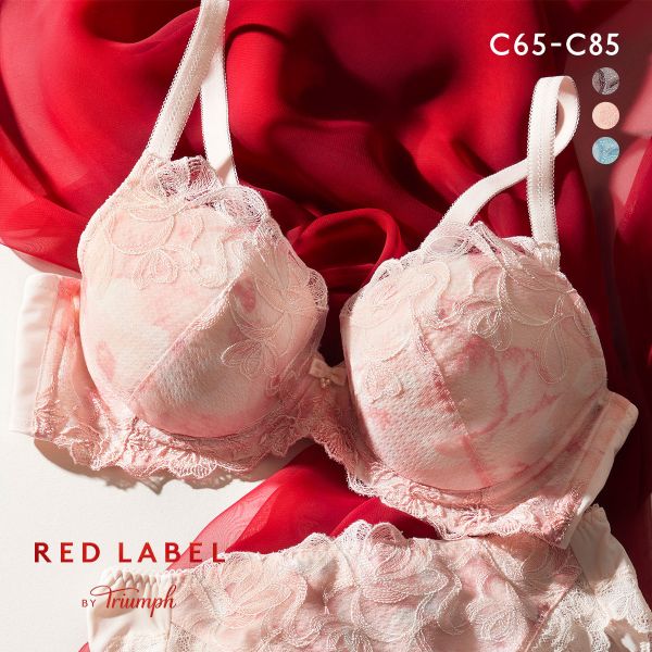 Triumph ŷȤΥ֥ ˡΥϥ괶 TR606