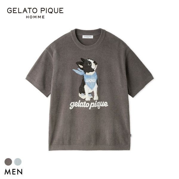 シロひな鳥再販・再入荷ペイジ