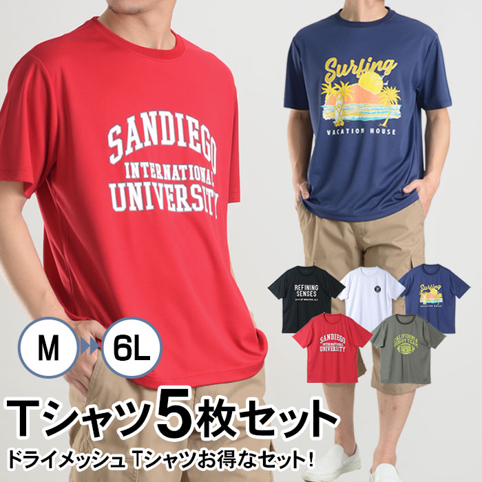 terminalTシャツMサイズ 楽天市場】Tシャツ 5枚組 5枚セット tシャツ メンズ 半袖 ドライ