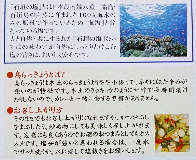 誕生日プレゼント 沖縄県産 石垣の塩漬け 島らっきょう60g 沖縄県産の島らっきょうと沖縄の塩 石垣の塩を使ってます お酒のおつまみに美味しい  らっきょう 美味しい 人気 塩 島らっきょう 沖縄 ギフト qdtek.vn