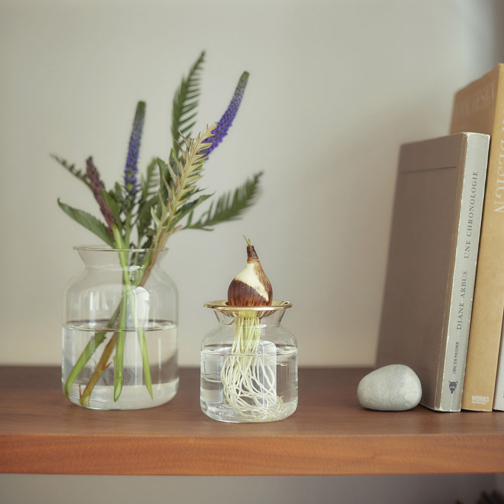 球根の水耕栽培にもおすすめの小さめサイズのガラス製のおしゃれで可愛いフラワーベース B2c フラワーベース シリンダー S 花瓶 花器 サラサデザインストアsarasa Design Store Sarasa Design Store 新品未使用サラサデザインb2c Water Jug Studiodeiure It