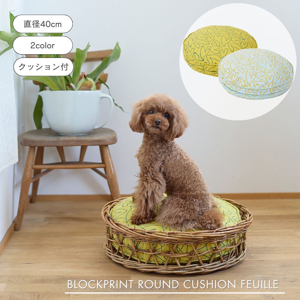 長谷川 クッション 楽天市場】【とっておき価格】shesay クッションフリージア