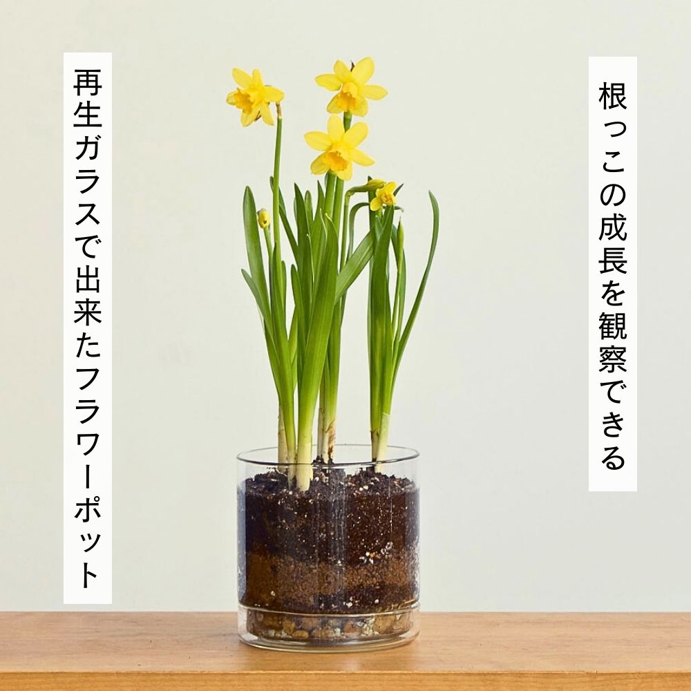 リューズガラス プレート付きフラワーポットストレート 3サイズ 3号鉢 4号鉢 5.5号鉢 植木鉢 ポット プランター 再生ガラス ガラス 透明 エシカル ハンドメイド リサイクル 家庭菜園 [公式 shesay]