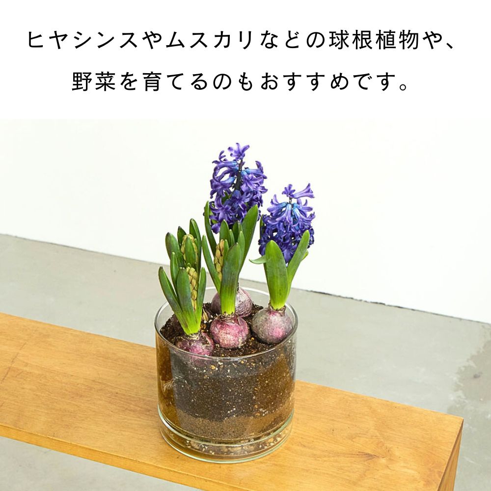リューズガラス プレート付きフラワーポットストレート 3サイズ 3号鉢 4号鉢 5.5号鉢 植木鉢 ポット プランター 再生ガラス ガラス 透明 エシカル ハンドメイド リサイクル 家庭菜園 [公式 shesay]