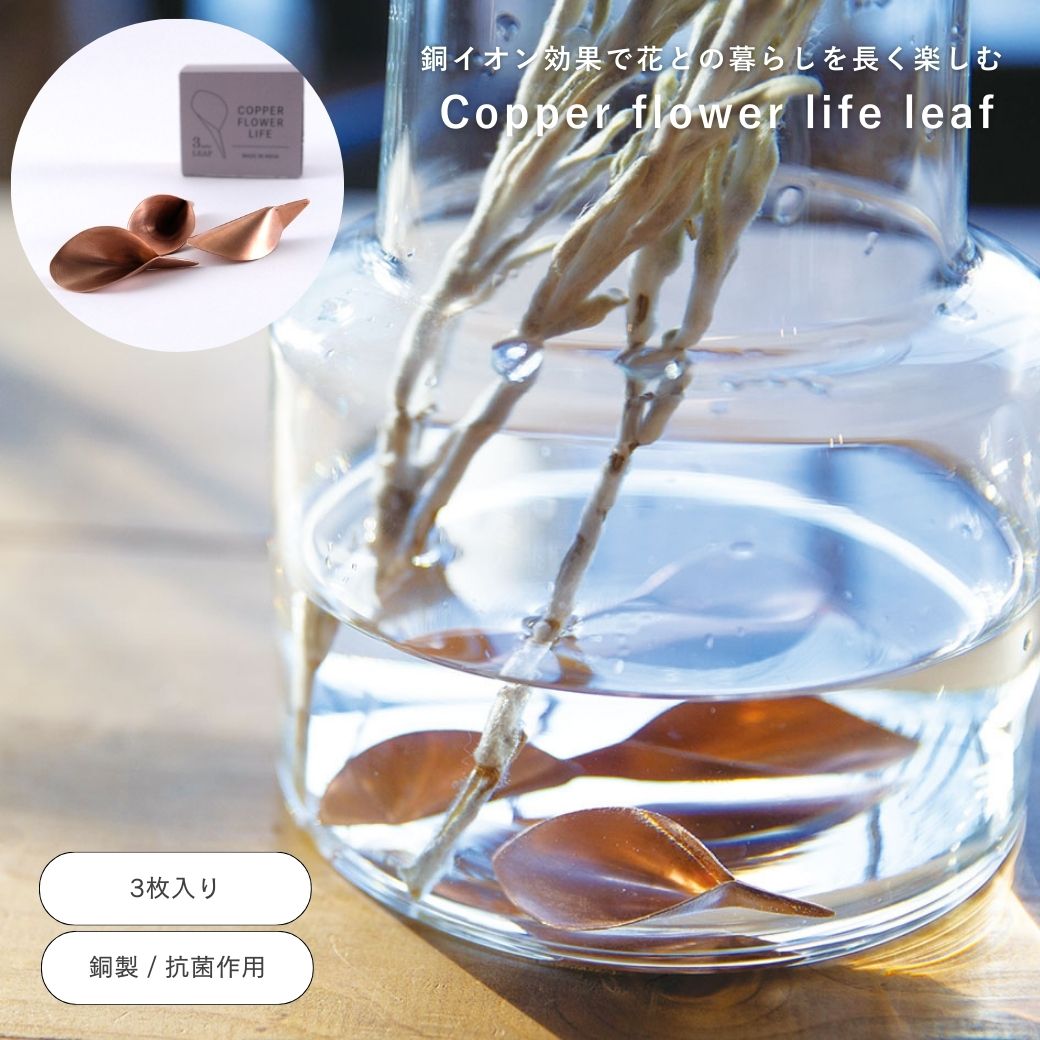 楽天市場】公式 shesay 水やりにちょうど良いアルミの水差し 2