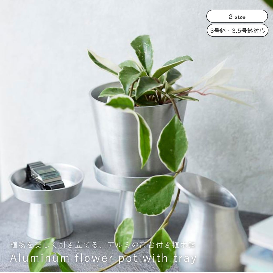 楽天市場】公式 shesay 水やりにちょうど良いアルミの水差し 2サイズ