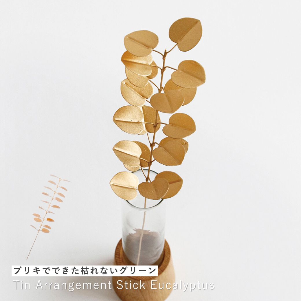 楽天市場】【とっておき価格】公式 shesay GLASSカラードーム