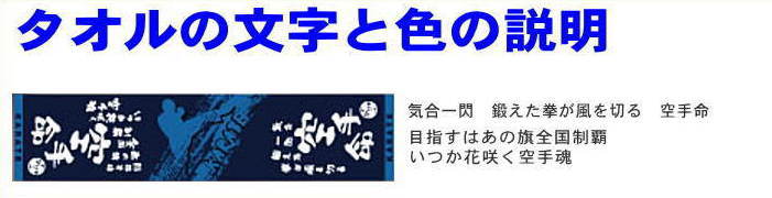 大切な人へのギフト探し インターハイ 応援タオル名前入り 空手タオルチーム名刺繍 男性 贈り物 タオル ネーム 刺繍 厚手スポーツタオル 名入れ  2020 文字入りタオル 今治 fucoa.cl