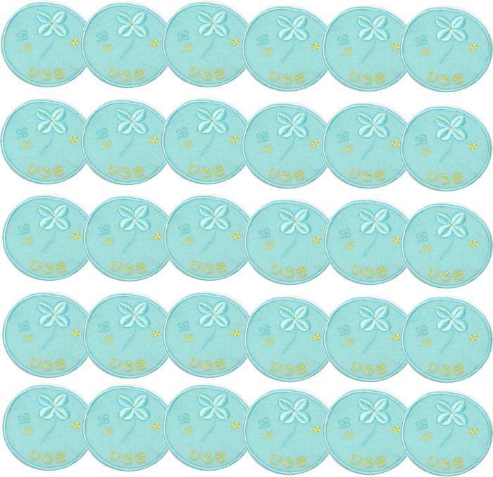 送料無料キャンペーン 名前アイロンシール なまえワッペン ひらがな フェルト 名札 ワッペン 名前 幼稚園 ワッペン 名前入り ワッペン 体操着 入り 漢字 名前 カタカナ 大 ワッペン 名前 上履きアイロン 名入れワッペンクローバー ミント30枚 まとめ買い アイロン