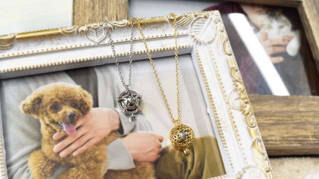 遺骨ペンダント ペット供養 ひげ アクセサリー ケース スター ステンレス ネックレス ハワイアンジュエリー ハート フィッシュ ペット メモリアル 乳歯入れ 形見 星 波 爪 犬 猫 送料無料 遺毛 遺灰 遺骨 遺骨カプセル 骨壷 大規模セール ネックレス