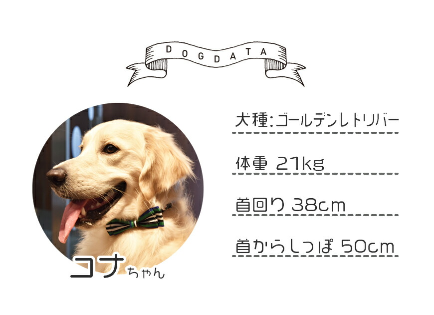 楽天市場 犬猫グッズの下町ペット用品店 楽天ランキング8位入賞 犬 おもちゃ オモチャ 音が鳴る 骨型 ボーン型 メッシュトイ 鳴き笛 スクィーカー入り 投げる 引っ張る 歯磨き ハミガキ オーラル デンタルケア 犬のおもちゃ 3980円以上送料無料 あす楽対応