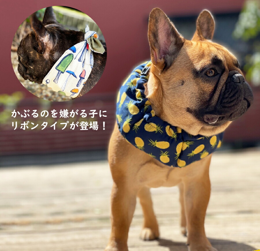 クールバンド & 保冷剤5個 犬 クールバンダナ クールネック ネッククーラー ペット用 暑さ対策 犬用 猫用 熱中症対策 首ひんやり 冷感 冷却 首冷やす つめたい スヌード スカーフ 小型犬 中型犬 大型犬 かわいい 散歩 唐草 送料無料 ドッグウェア | lunatici.it