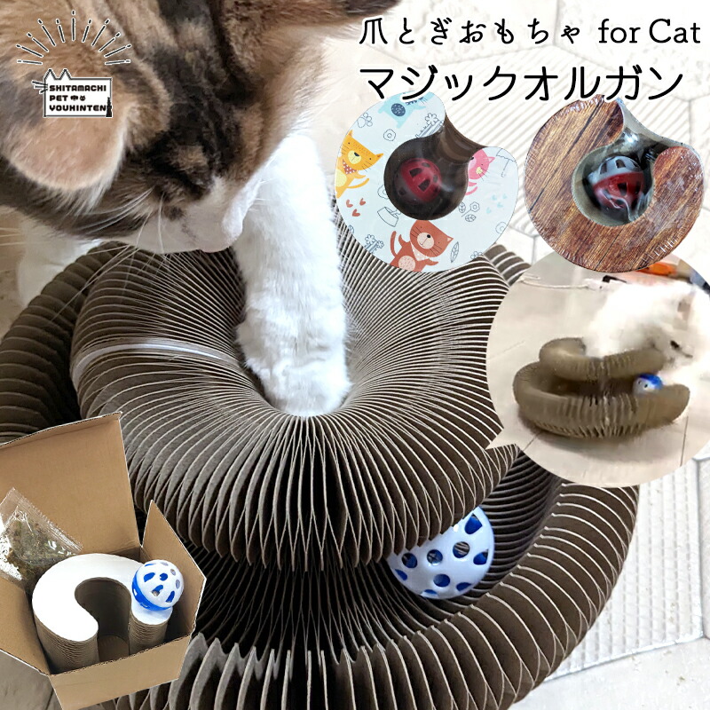 楽天市場】【訳あり アウトレット】猫用 おもちゃ マジック