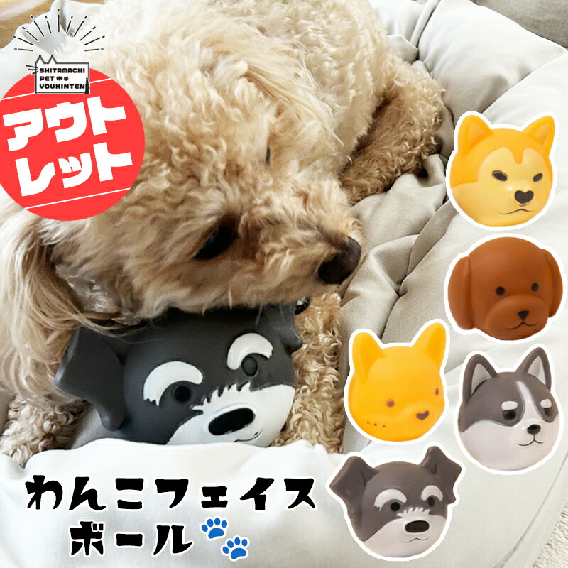 貝沼産業 | 本日放送された めざましどようびにて 小型犬用