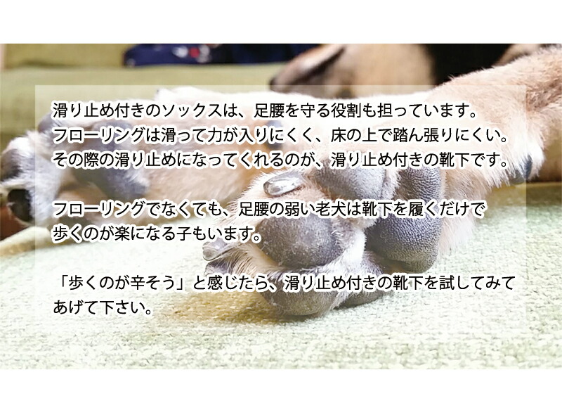 犬用 シューズ ドッグシューズ ユニバーシティ ソックス ストライプ 守る 靴 ドッグソックス 犬用ソックス 滑り止め 柄 を 肉球 防寒 寒さ対策 靴下