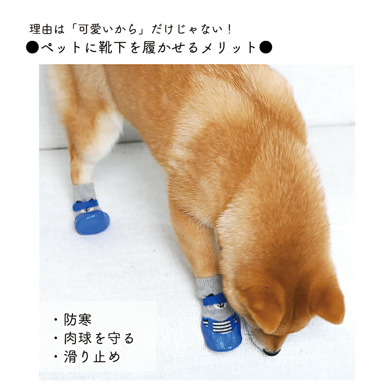 送料無料1000円ポッキリ 犬用 肉球保護 ドッグシューズ くまちゃん 犬 暑さ対策 靴下 散歩 靴 ドッグソックス 犬用靴 犬の靴 シューズ 柄 ソックス 犬靴