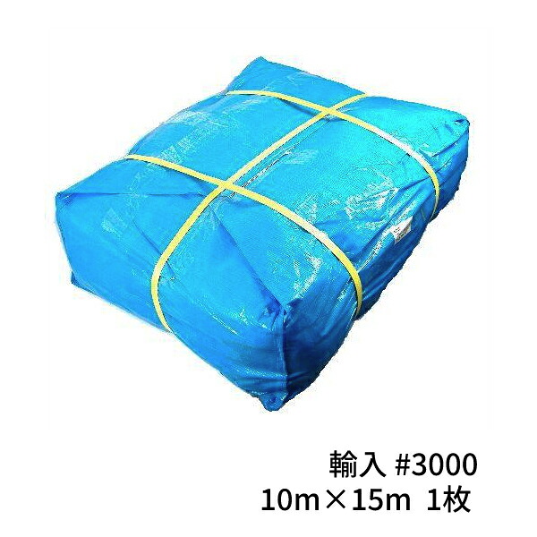 青色腰かけ#3000 インポート 朦々たる 10m×15m 1枚(1荷拵え) (SK) ＜法人宛制限事項＞｜ 床材 打つ手 海水浴 難民キャンプ 観光旅行 花見