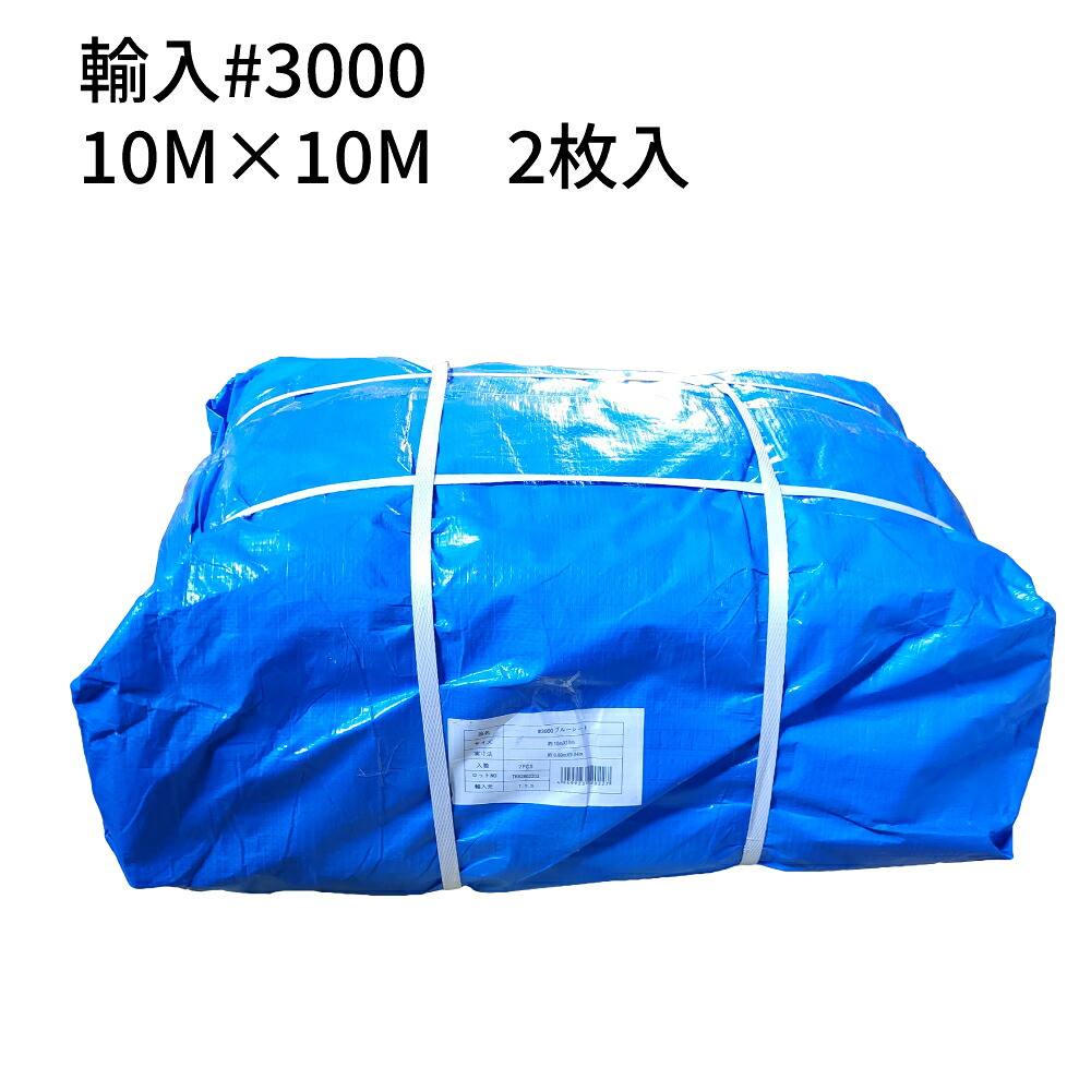青碧腰掛け#3000 インポート 朦々たる 10m×10m 2枚(1荷造り) (T) ＜法人宛押さえる＞ ｜ 床材 打つ手 海水浴 難民キャンプ 慰安旅行 花見