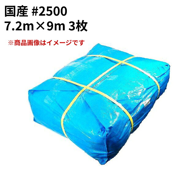 青み居敷き #2500 国産 7.2m×9m 3枚仕掛ける(SK) ＜法人宛押さえる＞｜ 床材 打つ手 海水浴 難民キャンプ 野あそび 花見