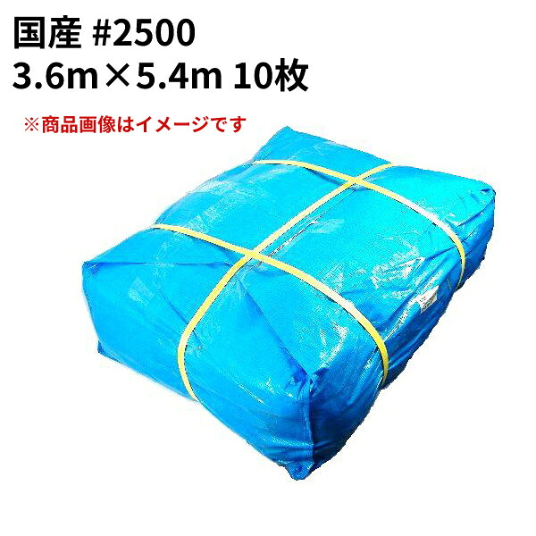 青み居敷き #2500 国産 3.6m×5.4m 10枚仕掛ける(SK) ＜法人宛押さえる＞｜ 床材 打つ手 海水浴 難民キャンプ 野あそび 花見