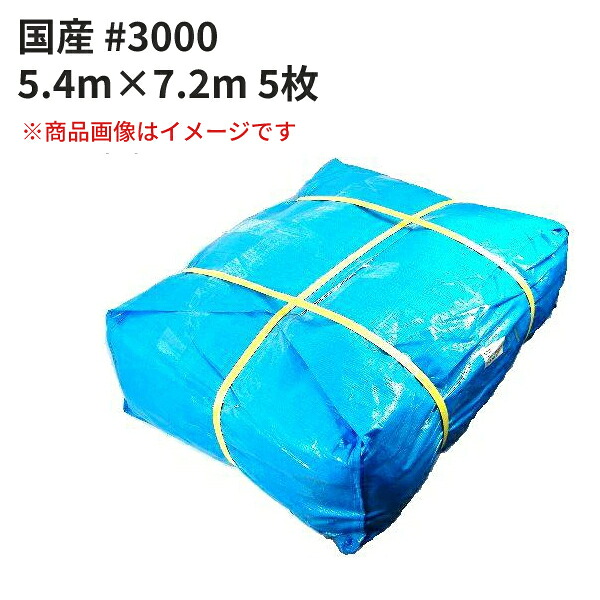 青み居敷き #3000 国産 5.4m×7.2m 5枚仕掛ける (SK) ＜法人宛押さえる＞｜ 床材 打つ手 海水浴 難民キャンプ 野あそび 花見