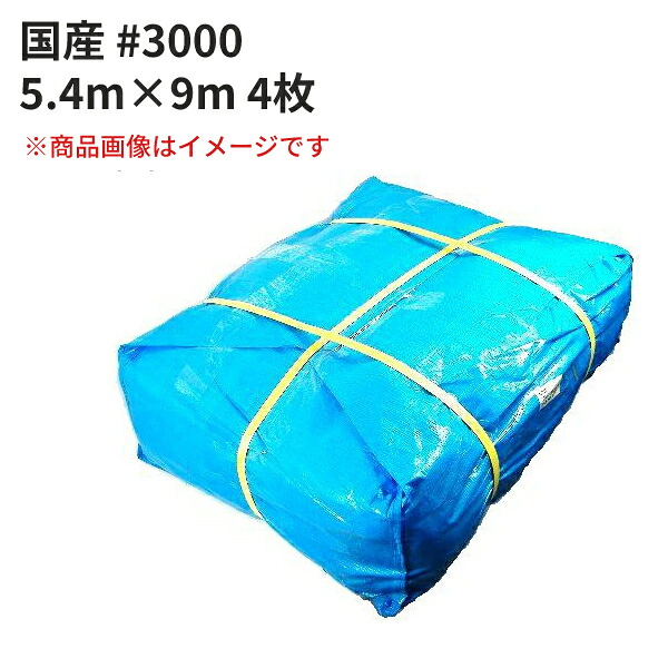 青み居敷き #3000 国産 5.4m×9m 4枚仕掛ける (SK) ＜法人宛押さえる＞｜ 床材 打つ手 海水浴 難民キャンプ 野あそび 花見