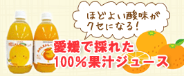 楽天市場】 パレットカバー（角底袋） : 資材屋さん 楽天市場店