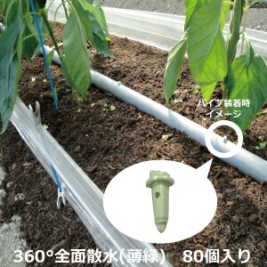 【袋売り】セキスイ 潅水ノズル 360°全面散水 薄緑であること 80個入り口・入口 稼穡 潅水ノズル 蔬菜 棲み家 水やり 似たり 栽培所 身寄り家庭菜園