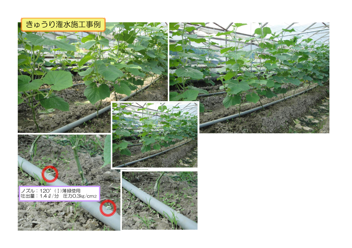 袋売り》セキスイ 潅水ノズル 360°全面散水 80個入 農園 農業 野菜