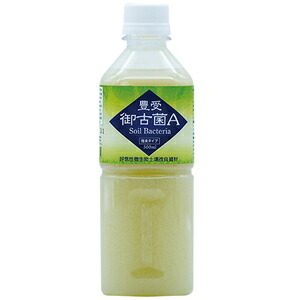 【微生物土壌改良資材（好気性微生物群）】　豊受御古菌 A 強臭タイプ（500ml）【家庭菜園】【肥料】【園芸資材】【無農薬栽培】【自然栽培】【無農薬】【自給自足】【有機栽培】【有機】【収穫】【土づくり】｜自然絆ショップ