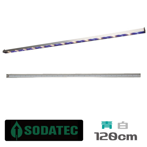 即納最大半額 植物育成 Led ライトのsodateck Led Bar 白 青2色 安心の1年保証 Grow Led Lighting 新色追加 Lagourmet Org