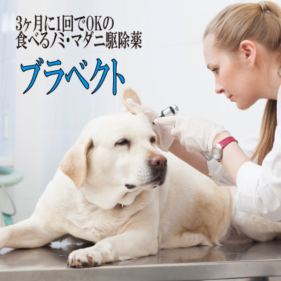 楽天市場 3ヶ月持続型 犬用ノミ マダニ駆除薬 ブラベクト 体重10 kg用 4錠 12ヵ月分 3ヶ月に一回食べると効果が3ヶ月続く 嗜好性の高いチュアブルタイプ のノミ マダニ駆除薬 往診対応地域は 栃木県 足利市 大阪府 大阪市 京都府 京都市 兵庫県 神戸市